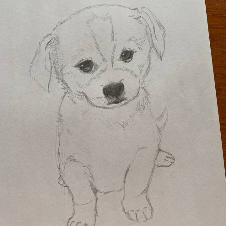 88cdf6f0 8409 4e7c 8521 28d2169762a5 1591687522024