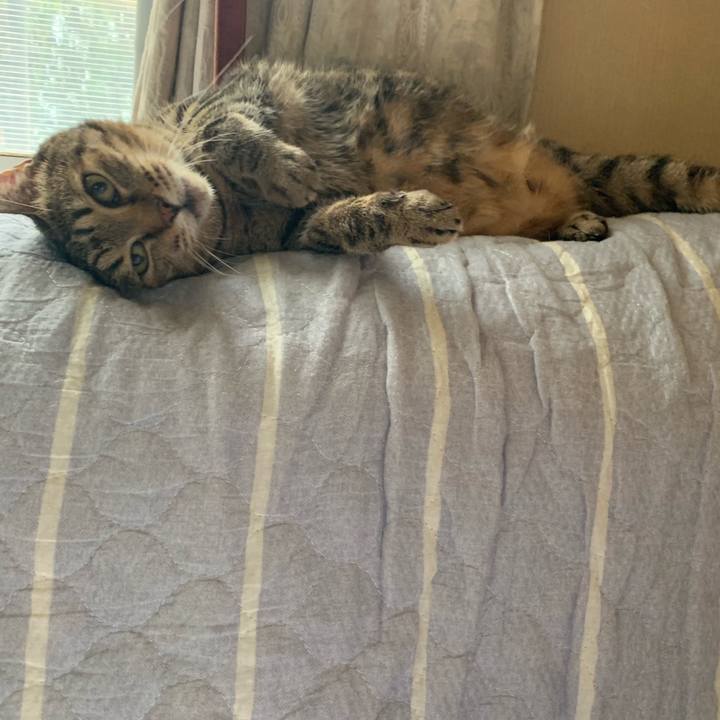 88ce2f98 5795 49a2 a9fc 0b47b9337aa2 1565412501278