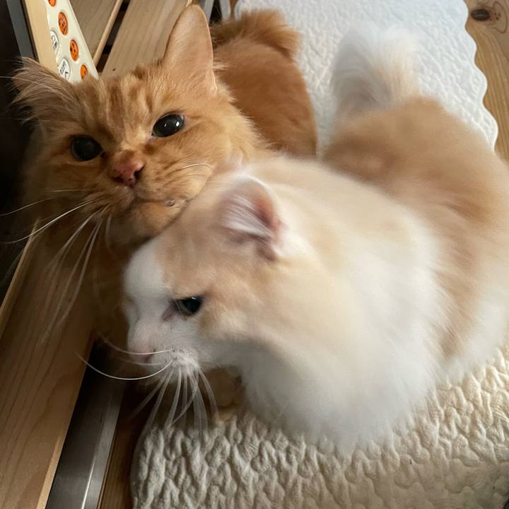 88ce5b78 921d 4860 a75e cd8775147fa3 1673383973193