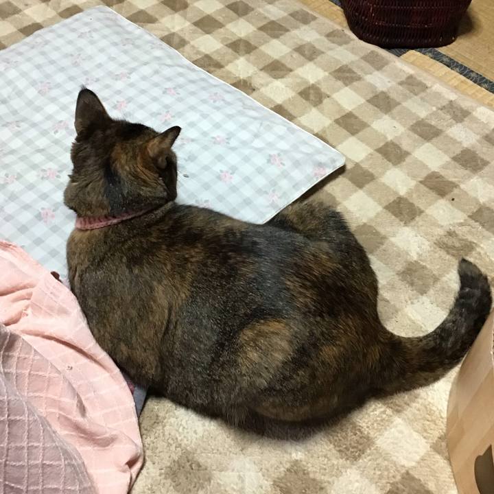 88ce690e c02d 48e9 bca6 714a572142c9 1730519434697