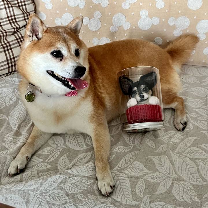 88ce78a0 7c7e 4b38 86cc 1235d742b732 1661603888837