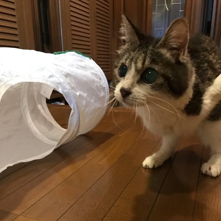 88ceb1f3 f5e7 4c90 bc24 2e650301ae73 1725138843405