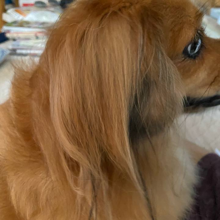 88cf0b50 9c71 49e4 8202 65c585ec38bc 1599169196604