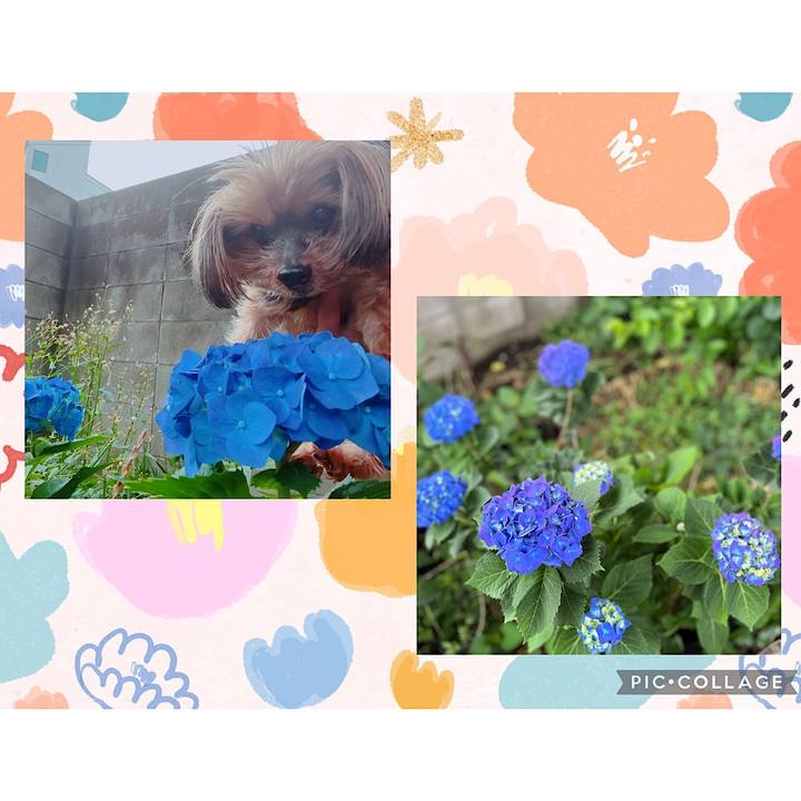 88cf35ed eb45 4b07 b1e2 fb5ac5666dcb 1716952862324