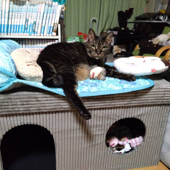 88cf7a74 fc31 4e3f a80f b1939d2e36e5 1758811299224