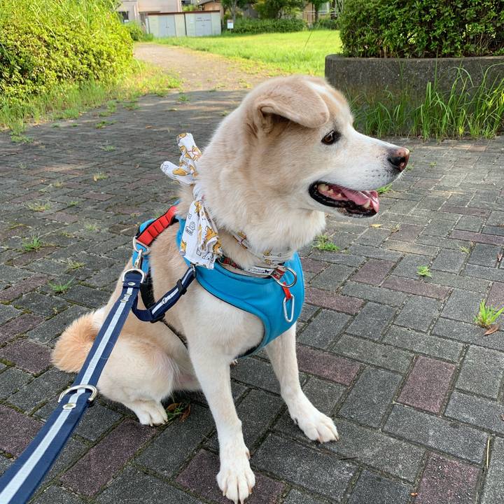 88cf806d deea 4fc0 8162 83275a22e52e 1660522409073