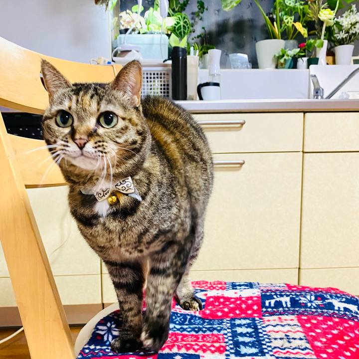 88cf917d 384e 47bb a8b7 3f9323952fce 1705638954973