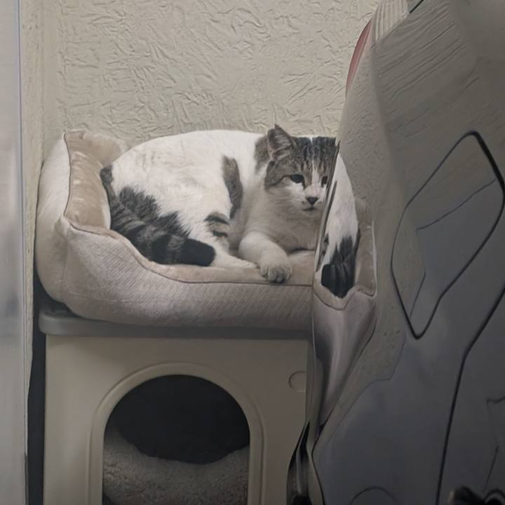 88cfa700 f307 4edb ad0e 06f638ea322a 1764137420558