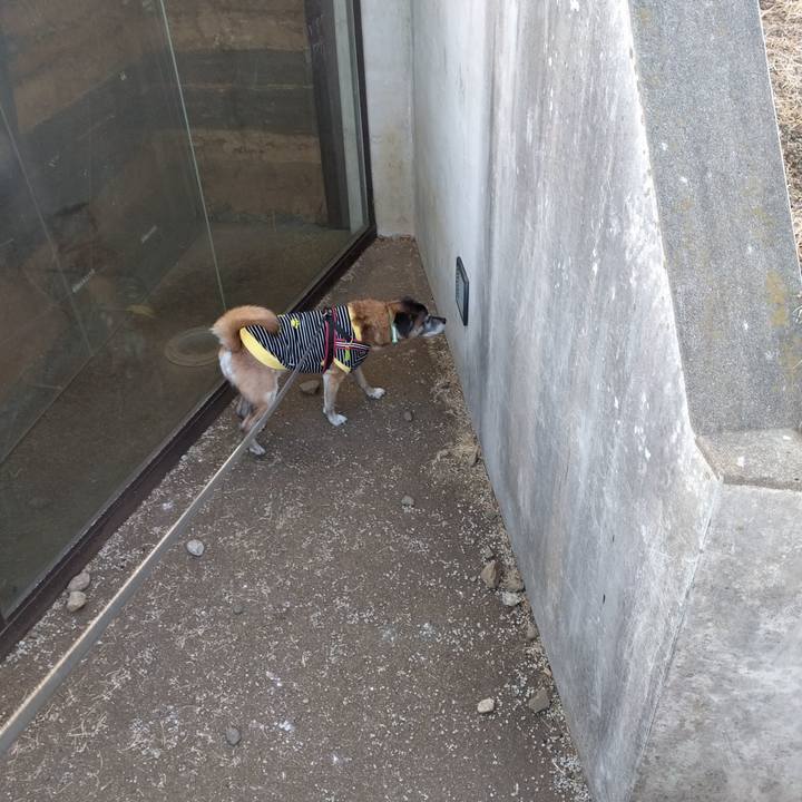 88cfd076 fc8e 441f b925 f52f6e6c877f 1516063482581