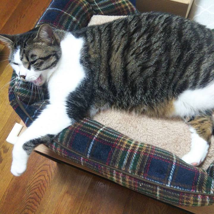 88cfd357 1a74 47a9 bd16 e11237035788 1656584157134