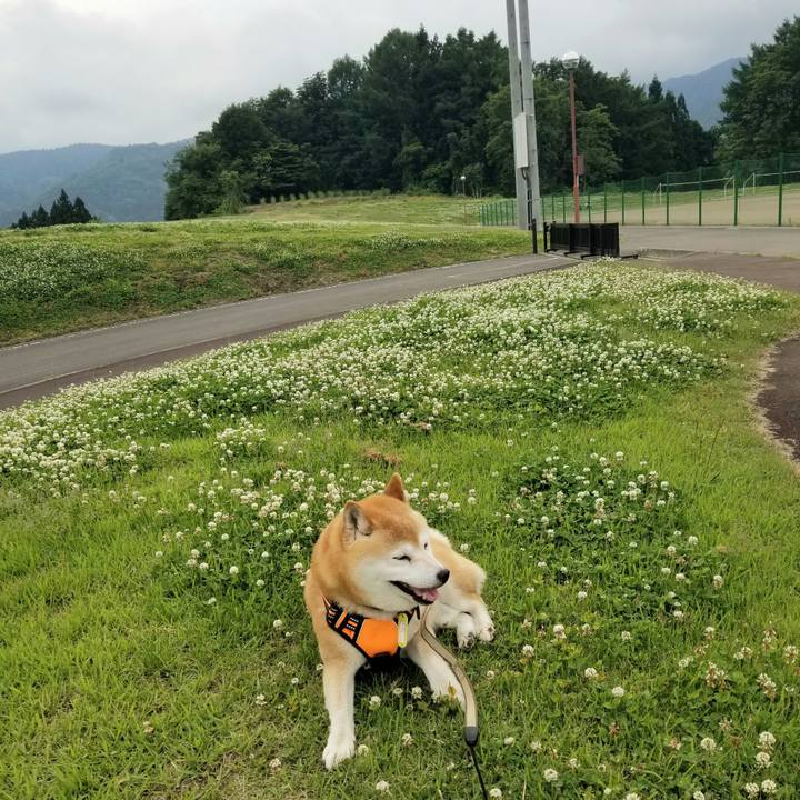 88cfd5ac a209 442a 80e9 8b04049dff6f 1654930550939