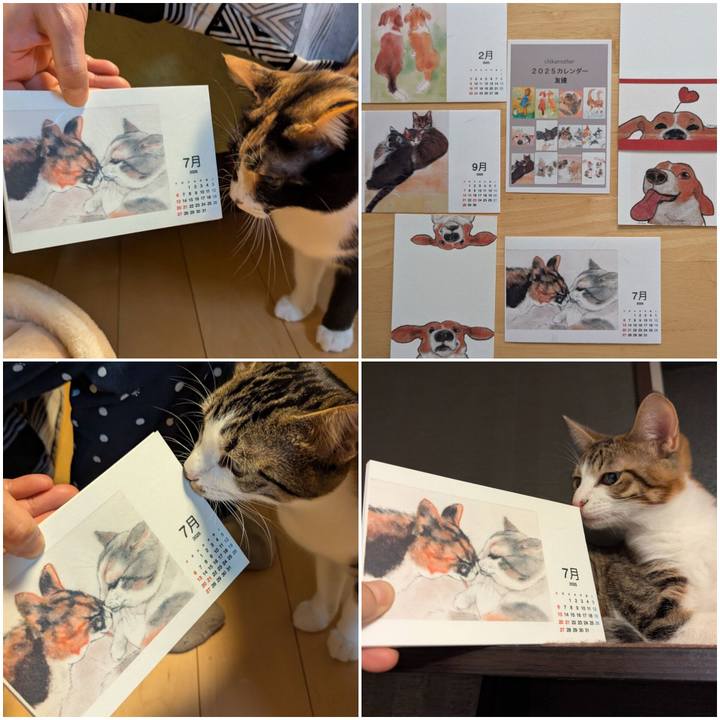 88cfe5da acdf 40a8 a087 a09c0ab1d4b7 1735137552108