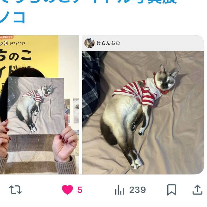 88cfe962 5d90 4f21 976c a01a90412c38 1766561737451