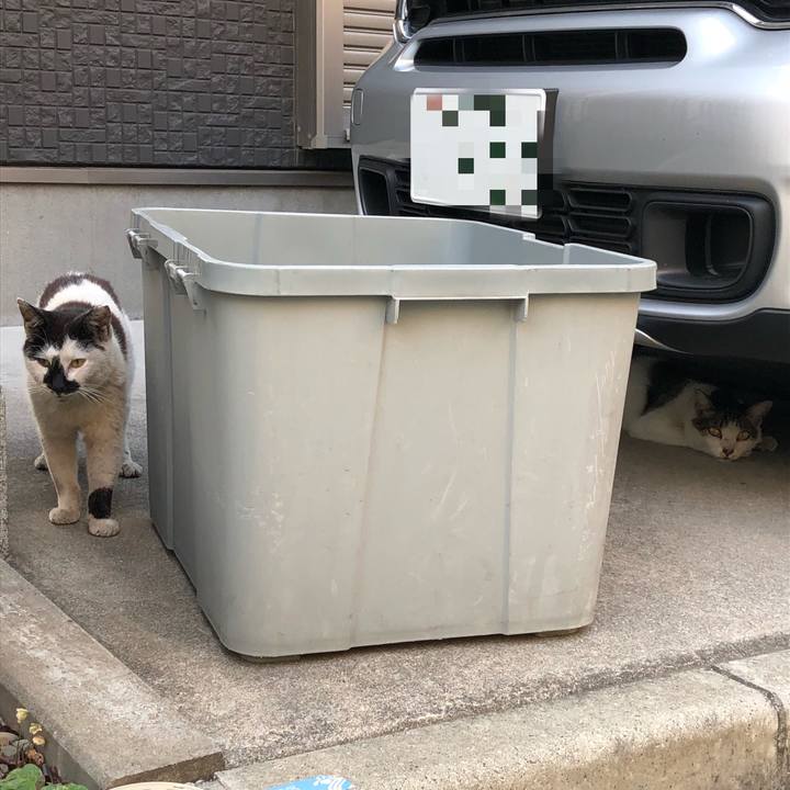 88cfedd9 5dab 42fd ac63 361a0845ab78 1531945364438