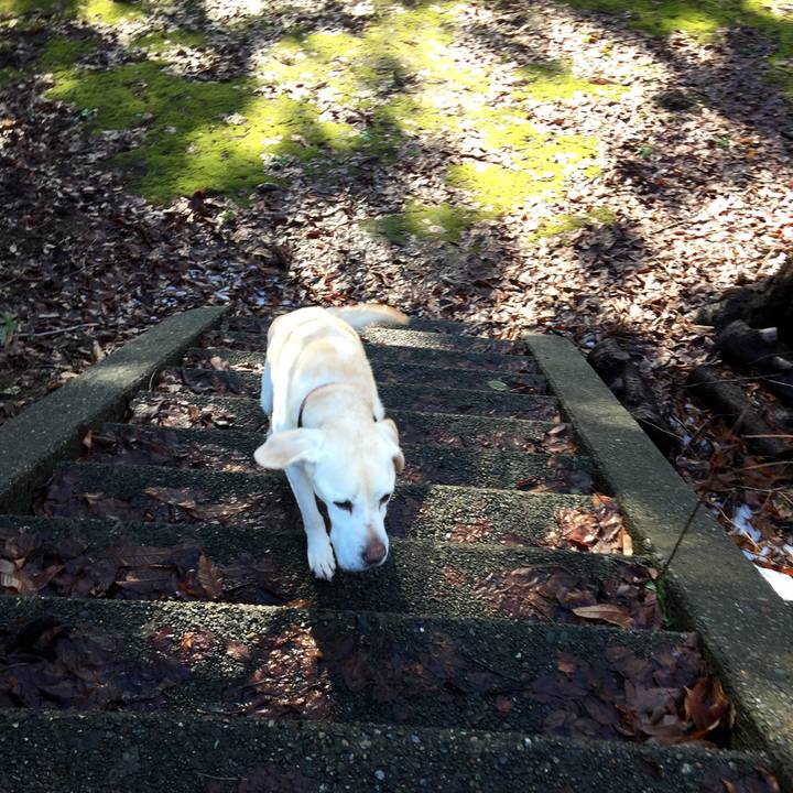 88cff545 ec5f 4230 82e2 5d49f48fec91 1545188236733