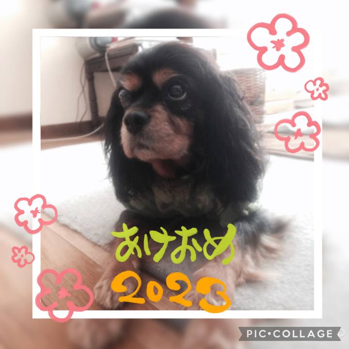 88d0898d 1514 4f99 93c6 148890301f8c 1672544339943