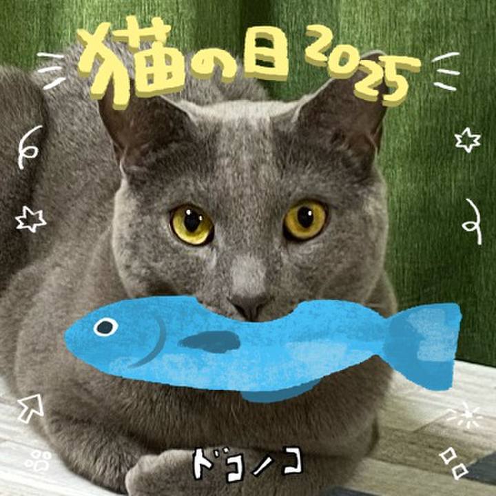 88d09438 3ca0 45af a343 398c7fb28d6e 1740175978677