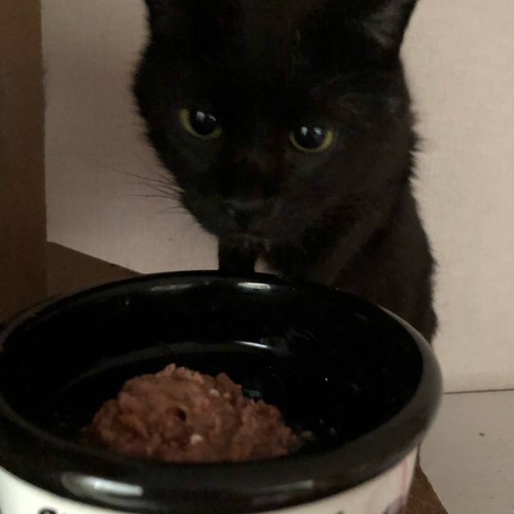 88d0fbd2 e350 44c4 830d 396785e9b4e6 1627589704135