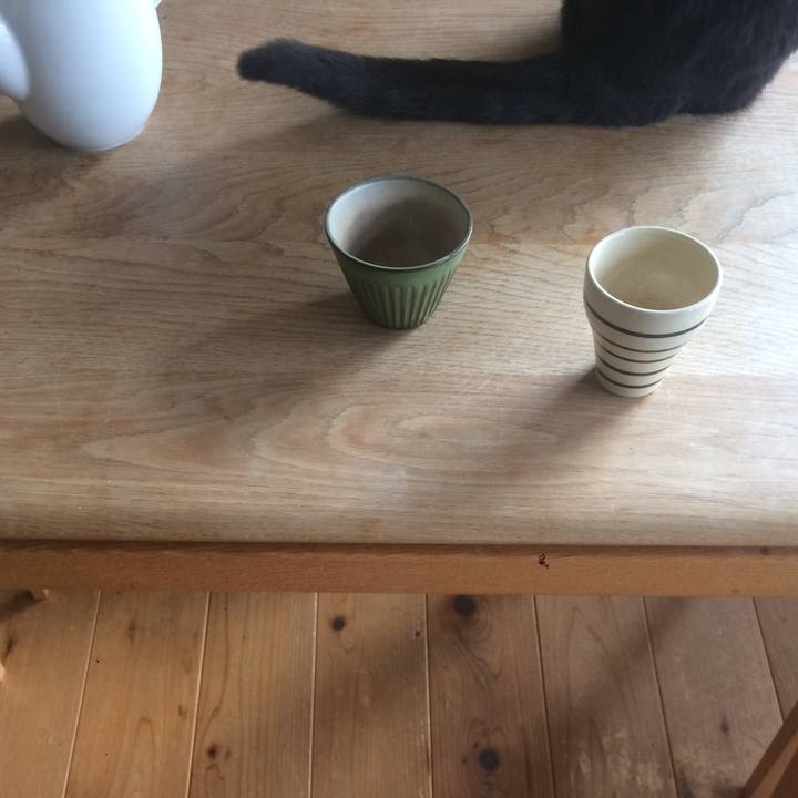 88d11ff9 0b4d 4ad6 bfcb db94a1a9110e 1581117969910