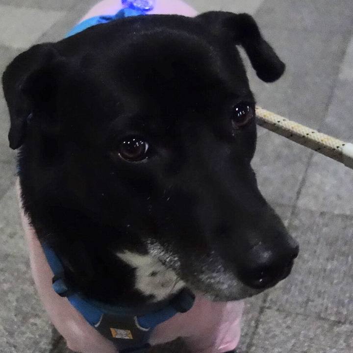 88d12538 30da 40a1 8bdf 03d1163b496a 1674298188017