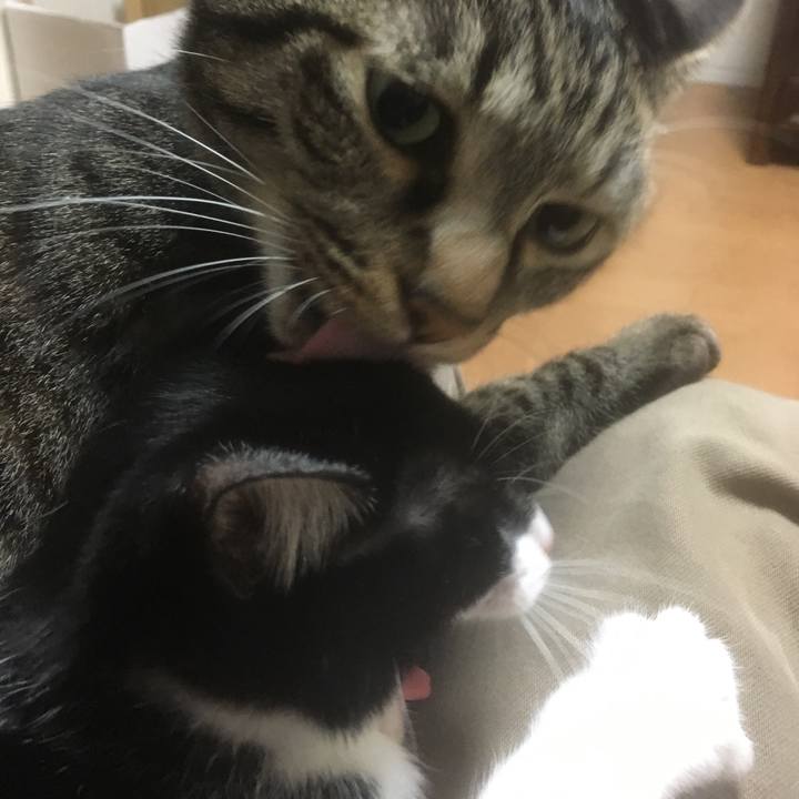 88d12afd 52ec 4358 bc59 6c51aea93351 1508599108422