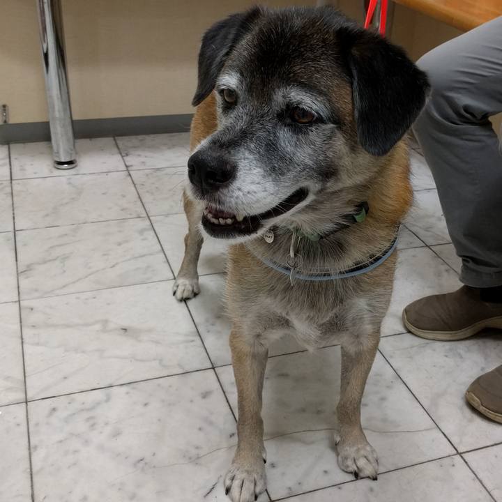 88d16b75 fb15 40f8 b821 d93ac3a7282d 1537183247146