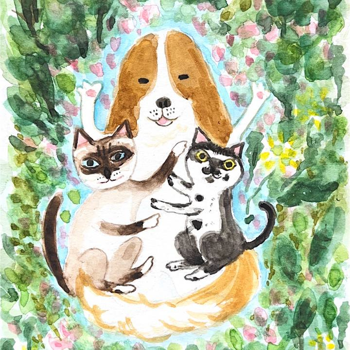 88d18fcb 1184 4629 8dd6 e6b58c27ff82 1736303320089