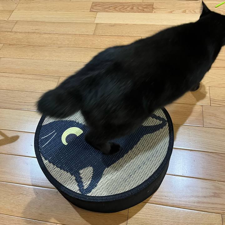 88d1a14d b85f 445c ba29 43f6aecfce05 1722159729798