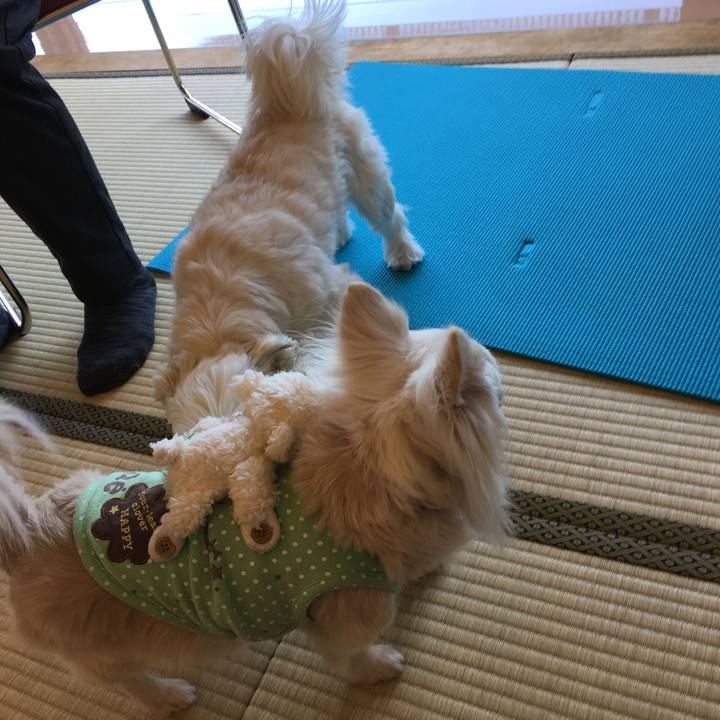 88d1a776 effe 49e5 b365 18d061574ecd 1519382779950