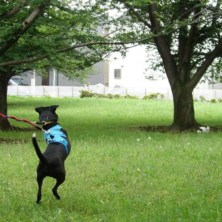 88d1ce48 f5d7 4e86 9b5a 56756e89b313 1622938528055