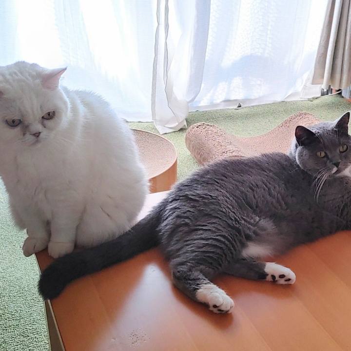 88d20139 953b 40ba ab76 69858829096e 1693262350516