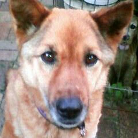 88d20645 1a12 4d09 bd53 a78b0c0eceab 1575545456612