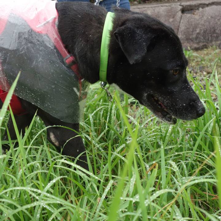 88d218ac 95e1 40f5 9bfe 4bf24805ca52 1634345795580