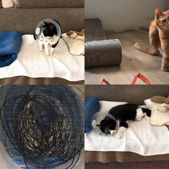 88d241ef 76d6 46ca a933 7330dae16f18 1585311035439