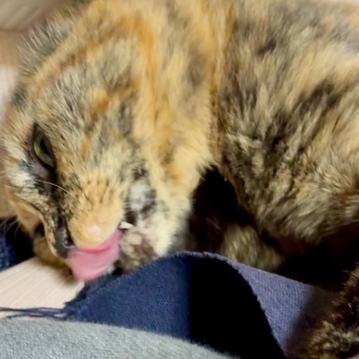 88d28ccc dc38 4107 ac6f f9821b77d05e 1767266173015