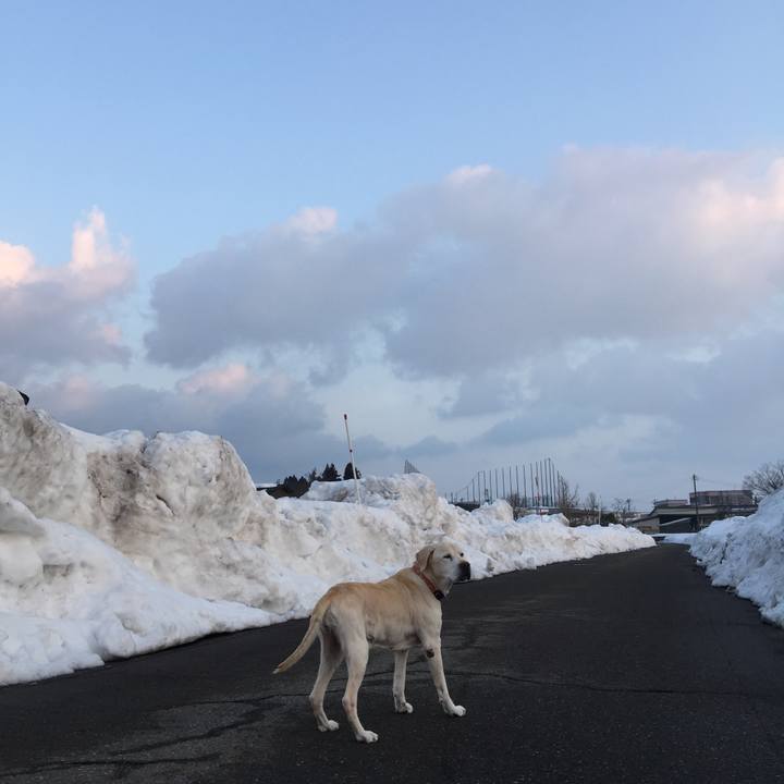 88d2ac64 b9cb 48f9 9436 923410ff0d3f 1519769057108