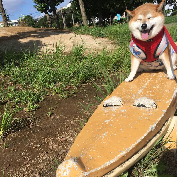 88d2b5a5 7508 4059 87b1 29cbac55fe9e 1596329401350