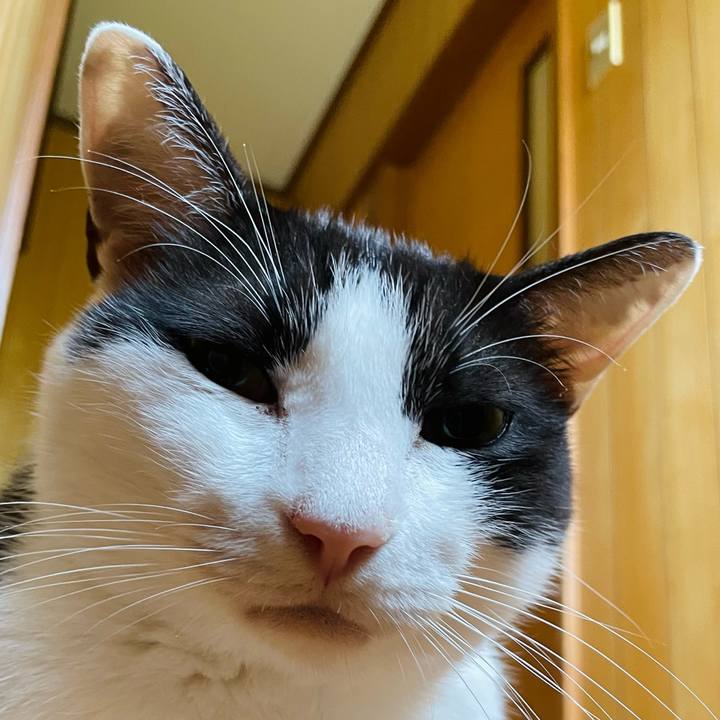 88d355a9 a00a 4f03 9b02 c9b2b138531f 1660616988617