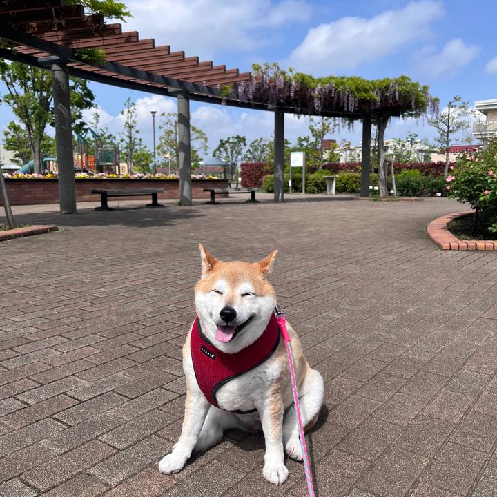 88d35728 5516 484c 91c1 1d55647a30f8 1714094892940