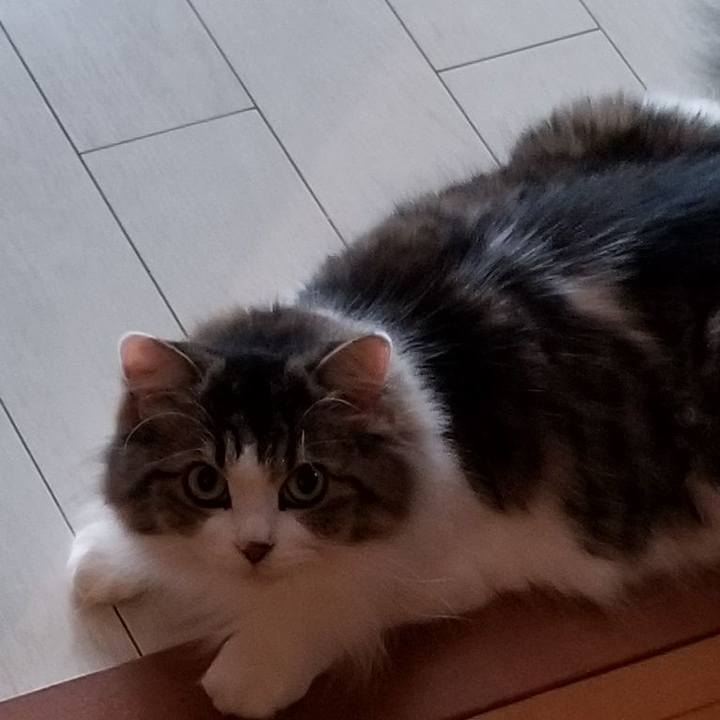 88d36b8a d367 45e0 9099 b03c89b869dc 1570060403296