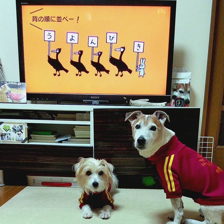 88d3782f 66de 41d3 b2a4 36cc26a4c1f2 1582238281765