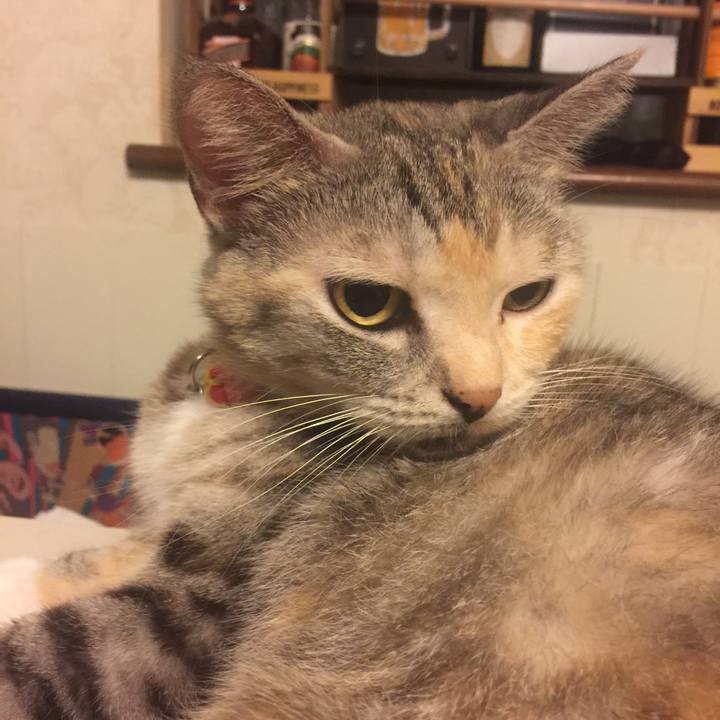 88d3a758 efd0 43f5 9f28 b41e78a75c12 1570095948178