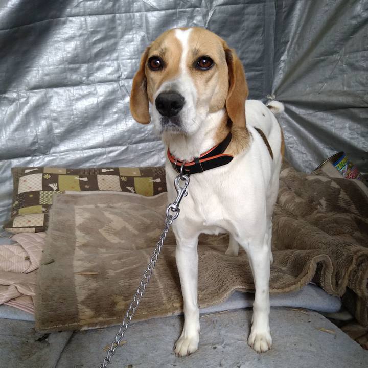 88d3c428 5aed 4bec b975 84aa747bf619 1622609201927