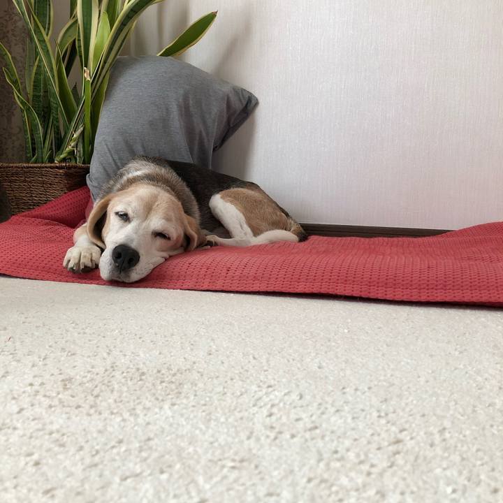 88d3cb43 0bcb 4d46 aa2e 25e5bad8cbdb 1571400753691