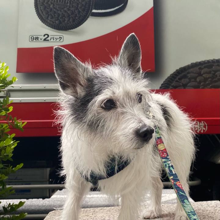 88d40a68 471e 4698 8dc0 17eee2f29b1a 1620907720698