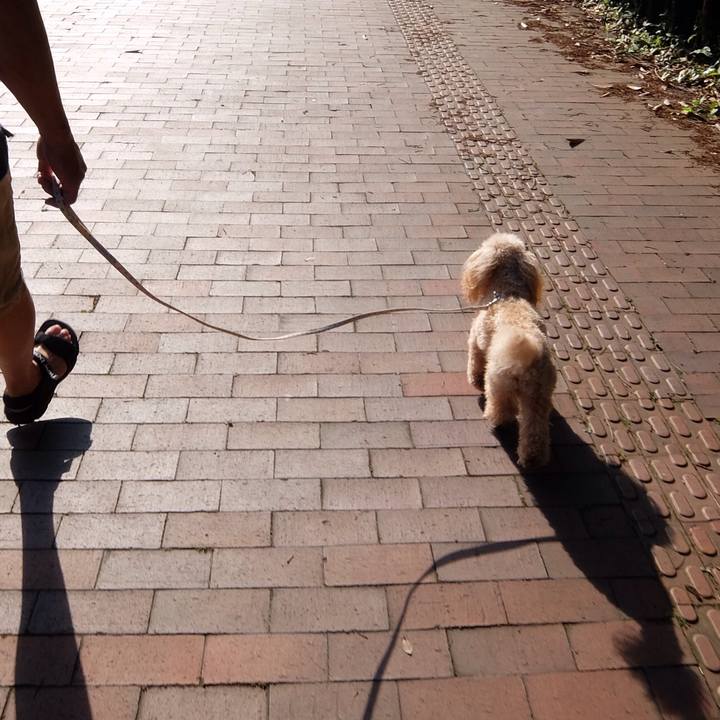 88d40dda 439b 45ee 8f29 f2f50982b41e 1529055784042