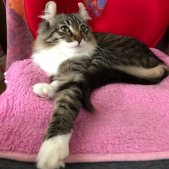 88d45b7d f04b 4239 9f78 87b99a396cf3 1525329850215