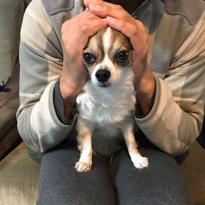 88d461b3 5d42 4cb3 9663 73b47da29a31 1582285635403