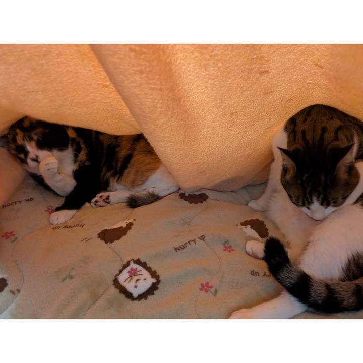 88d479ca f2b7 45d5 bce9 8e0cc443aa86 1768830281415