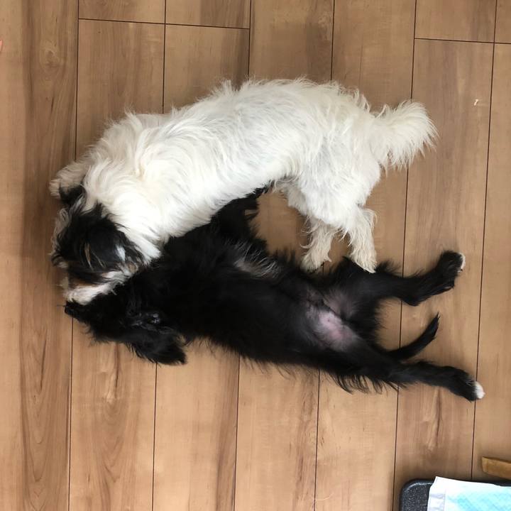 88d4879f f4ea 4c5a 9a10 076594316e62 1532991489676